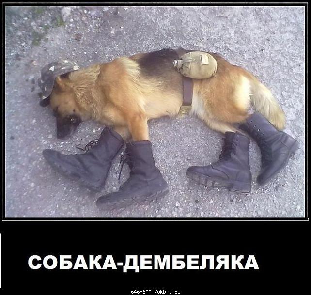     
: demotivatory_14.jpg
: 3078
:	70.4 
ID:	3830