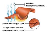 : thermalpro_diagram_180pxl.jpg
: 1386

: 25.0 