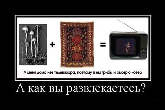 : demotivator_49.jpg
: 852

: 36.4 
